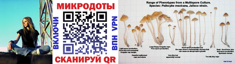 Псилоцибиновые грибы Magic Shrooms  Купить  Новохопёрск 